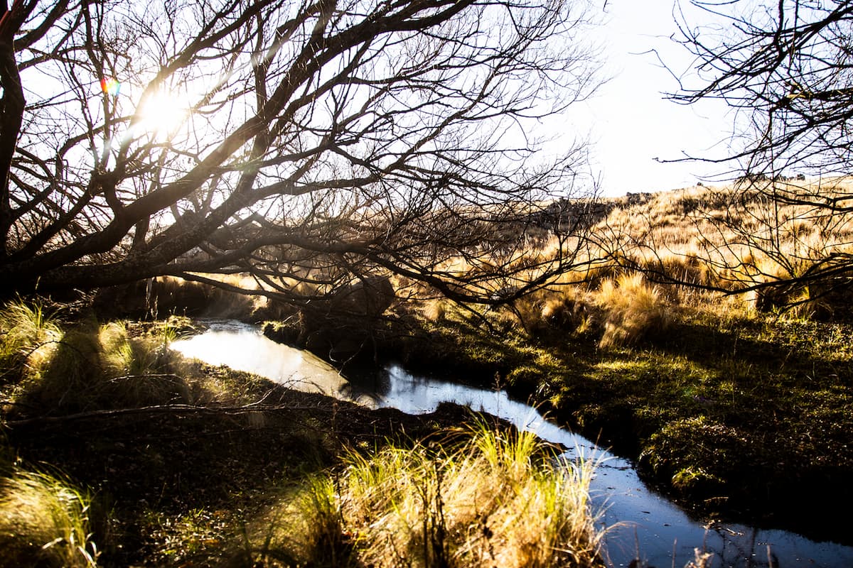 Espacios de introspección Se brindaran espacios para retirarse en soledad, con la intención de permanecer en estado de OBSERVACIÓN.