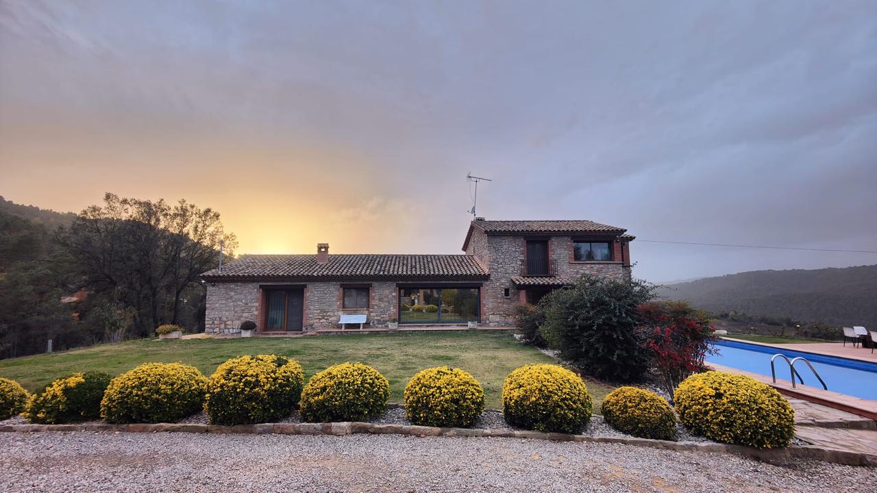 WhatsApp Image 2025-11-19 at 7.46.21 AM