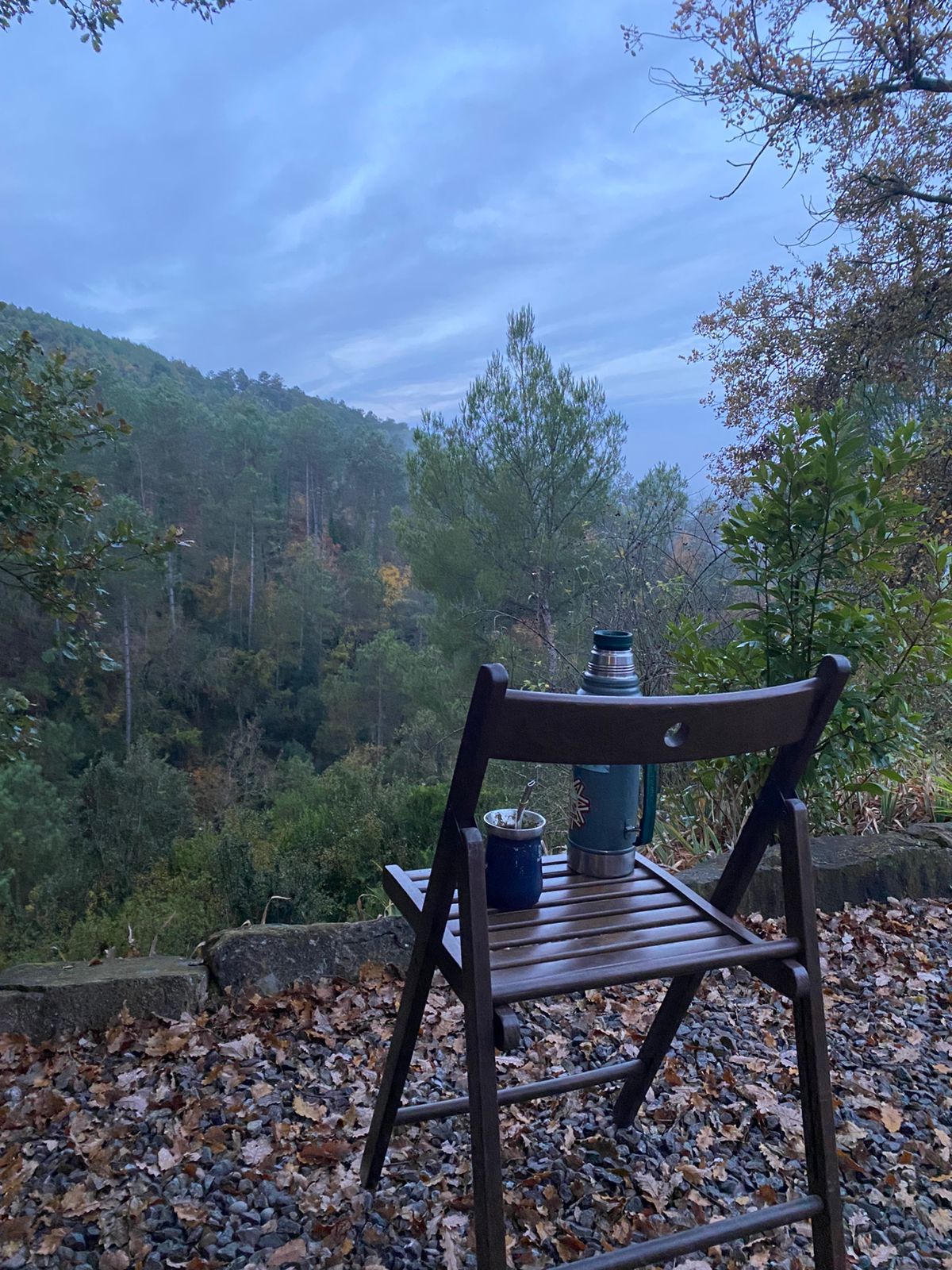 WhatsApp Image 2025-11-19 at 7.48.26 AM (1)