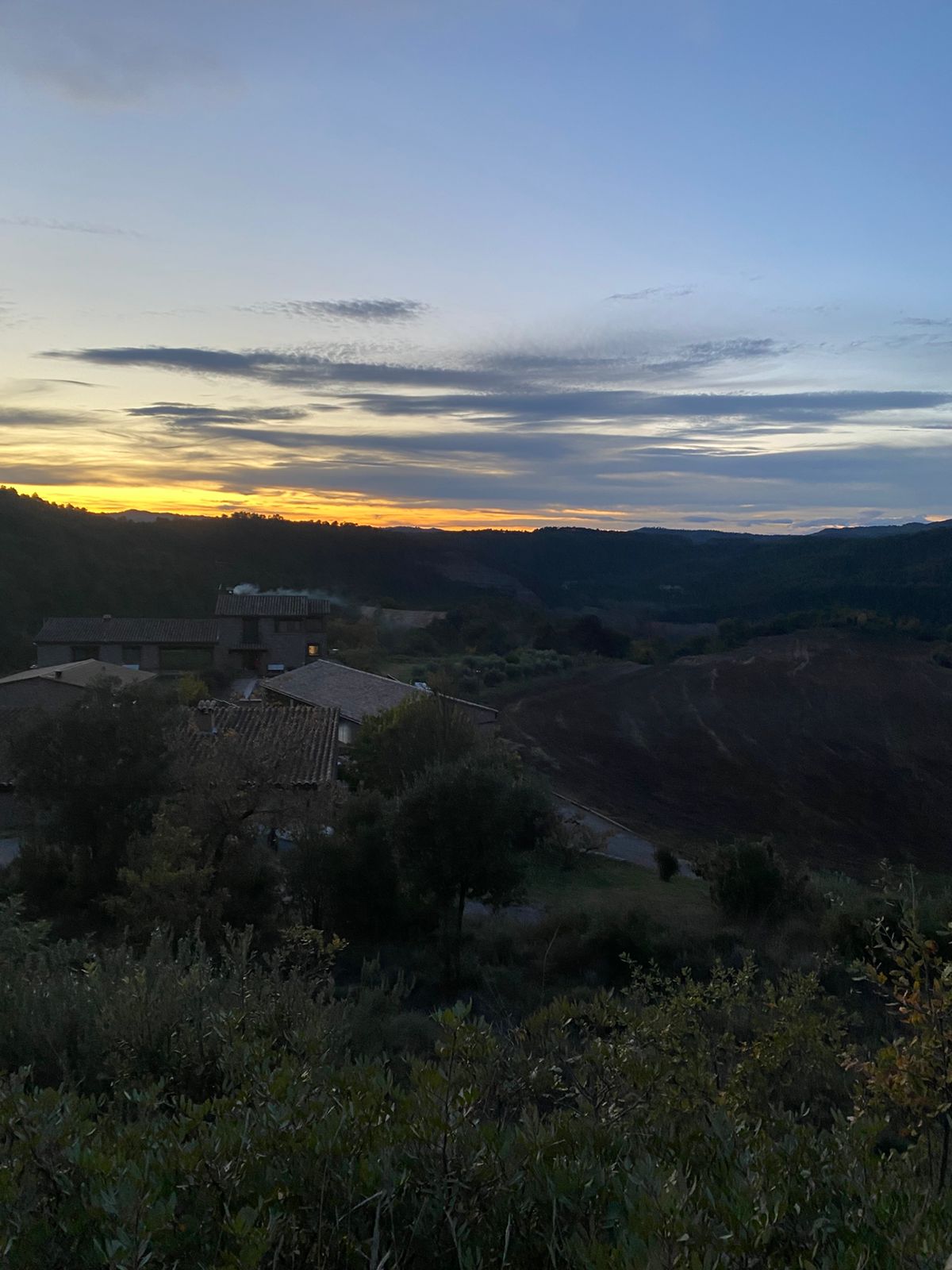 WhatsApp Image 2025-12-03 at 6.15.04 PM