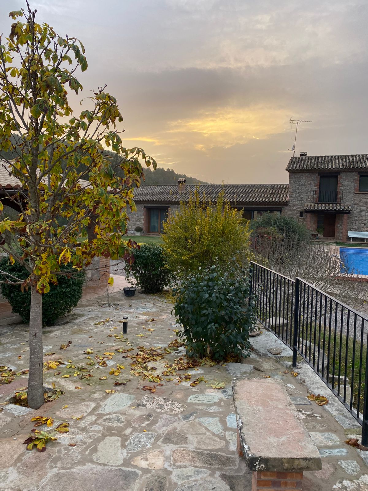 WhatsApp Image 2025-12-03 at 6.15.05 PM